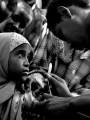 Día Mundial de la Asistencia Humanitaria