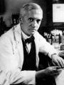 Nace Alexander Flemming