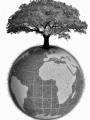Se celebra el "Día Mundial del Medio Ambiente"