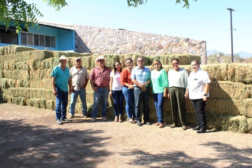 AYUNTAMIENTO-DE-LORETO-TRABAJA-DE-LA-MANO-CON-EL-SECTOR-GANADERO