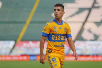 Leo Fernández abandonaría Tigres para regresar al Toluca