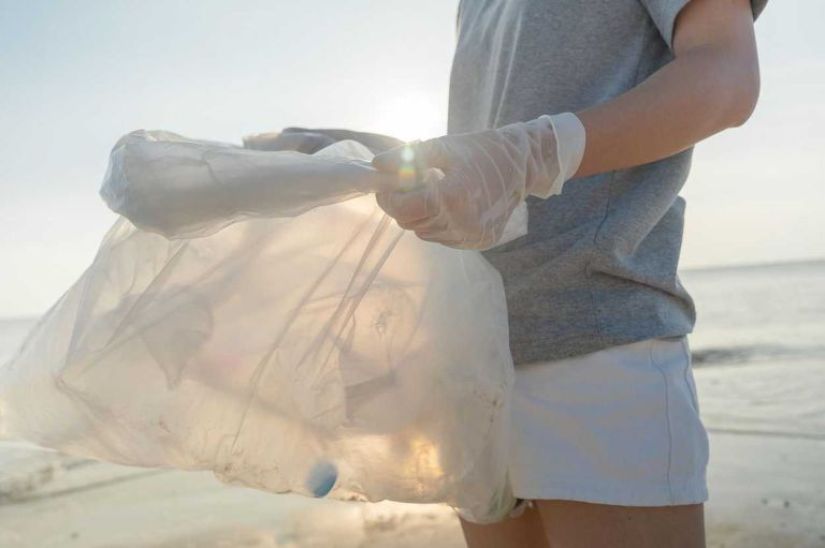 Proyectos ecológicos comunitarios transforman el paisaje urbano en México