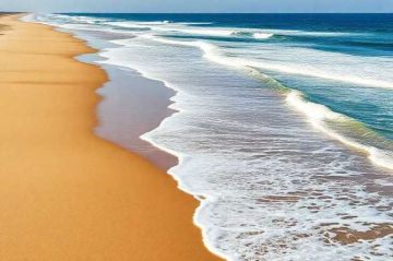 ZOFEMAT: Protección y Uso Sostenible de Nuestras Playas en México